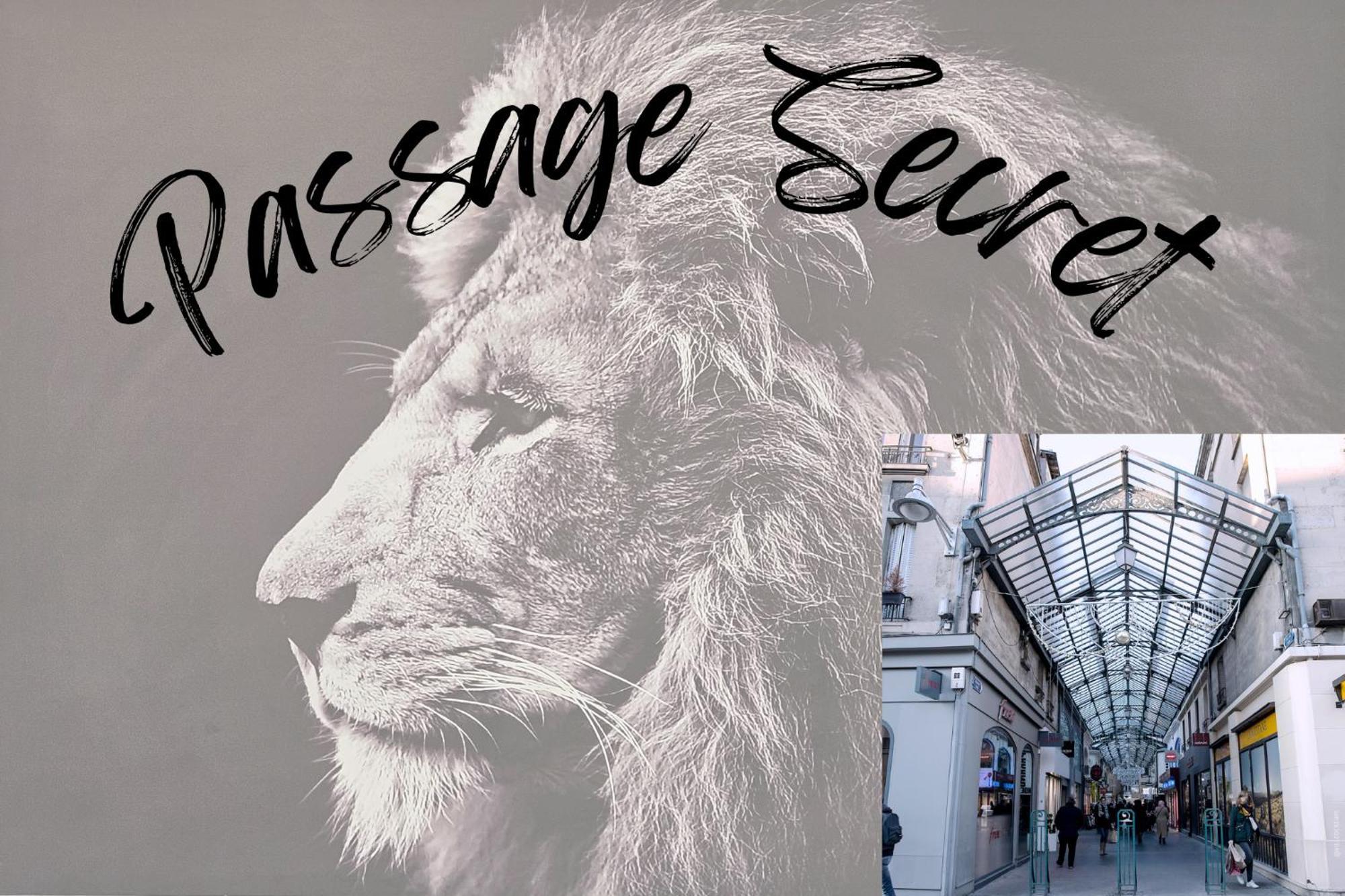 Passage Secret - Ideal Pro, Couples, Familles & Amis - Le Calme En Hypercentre - Wifi Haut Debit - Netflix - Machine A Laver - Gare, Cathedrale, Commerces, Restaurants & Transports En Commun A Moins De 10 Minutes A Pied Reims Exterior foto