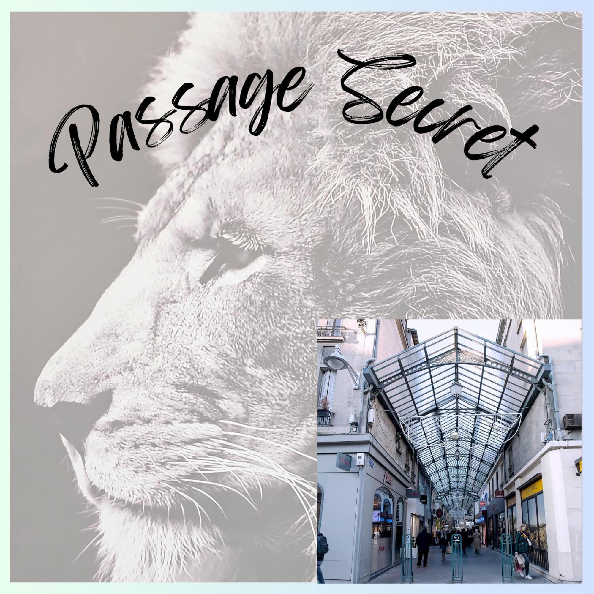 Passage Secret - Ideal Pro, Couples, Familles & Amis - Le Calme En Hypercentre - Wifi Haut Debit - Netflix - Machine A Laver - Gare, Cathedrale, Commerces, Restaurants & Transports En Commun A Moins De 10 Minutes A Pied Reims Exterior foto