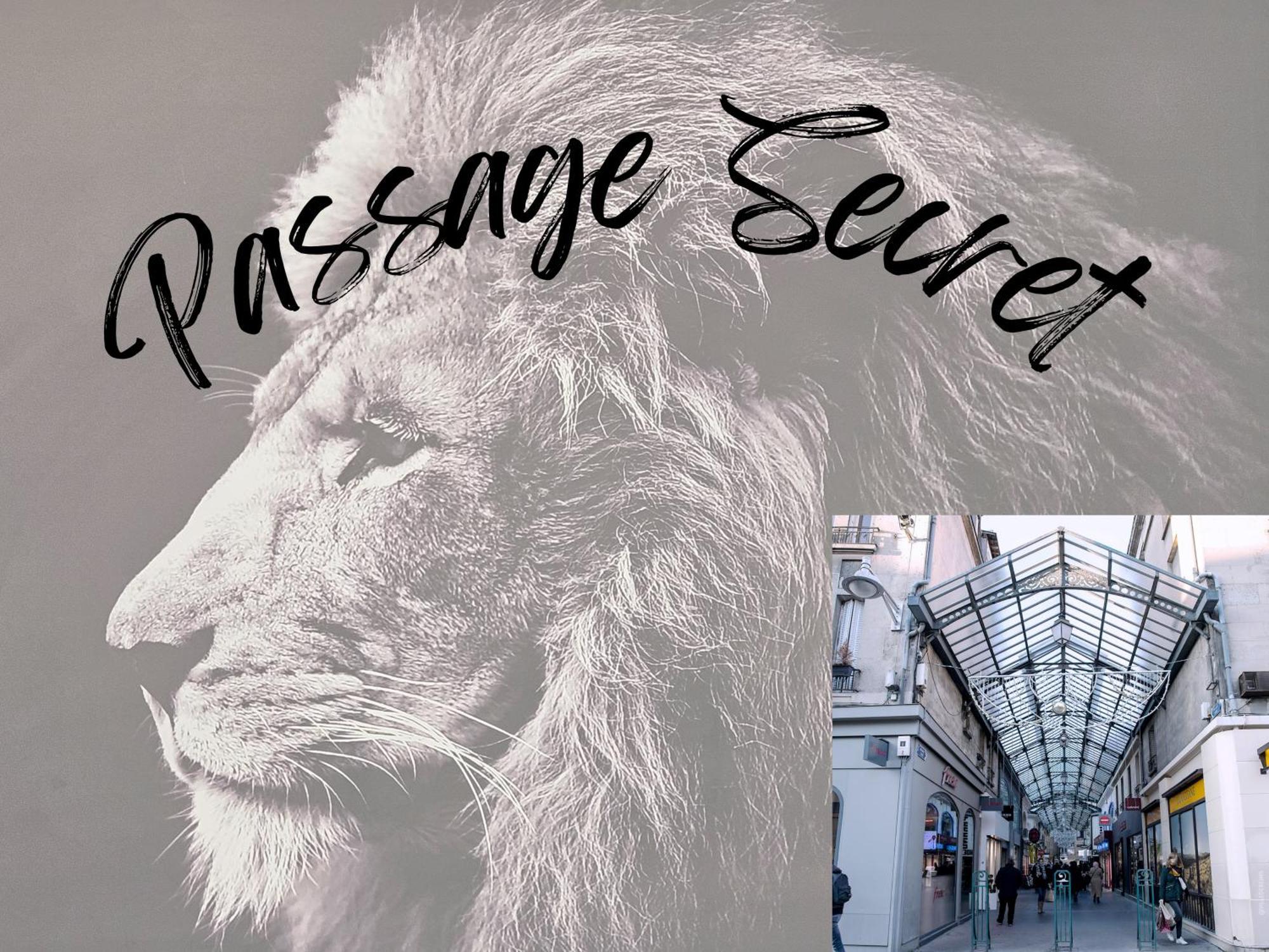 Passage Secret - Ideal Pro, Couples, Familles & Amis - Le Calme En Hypercentre - Wifi Haut Debit - Netflix - Machine A Laver - Gare, Cathedrale, Commerces, Restaurants & Transports En Commun A Moins De 10 Minutes A Pied Reims Exterior foto